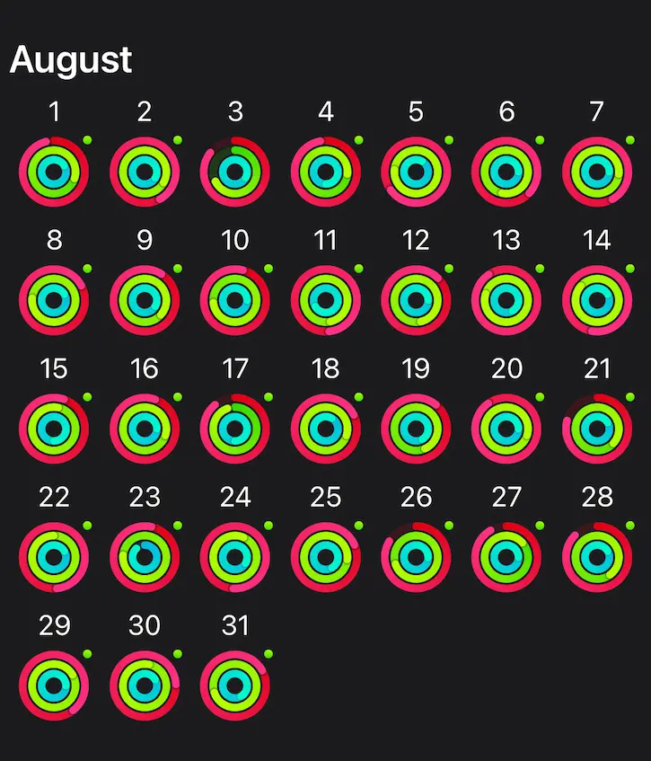 screenshot of my apple watch rings of august 2022